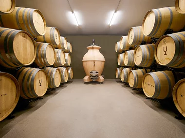 Visita con cata de vinos en Bodegas Virtus