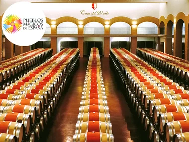 Visita guiada y cata en Yepes en Bodegas y Viñedos Casa del Valle