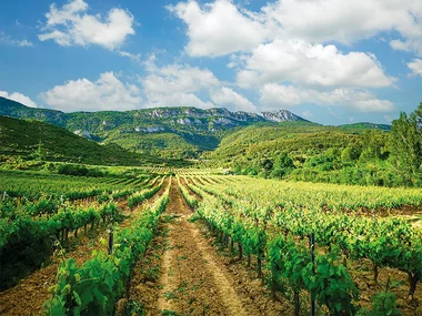 ¡La Rioja para bebérsela!: visita a bodega D.O. Rioja y cata de vinos para 2 personas