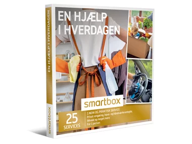 En hjælp i hverdagen