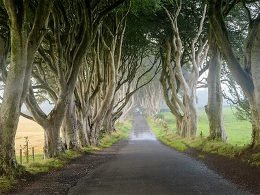 3 nuits à Dublin avec visite guidée des lieux emblématiques de Game of Thrones®