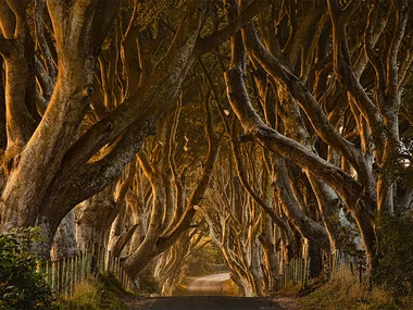 4 jours à Dublin avec visite guidée des lieux emblématiques de Game of Thrones®