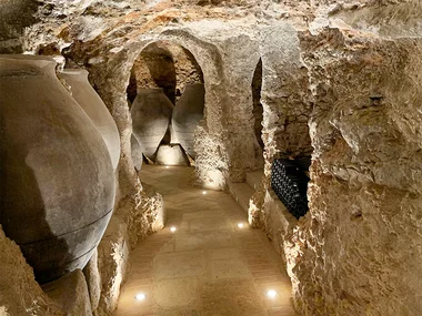 Bodegas y Viñedos Pedro García, Madrid: visita a bodega con cata y botella de regalo