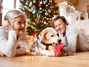 Natale con Fido: 1 notte con il tuo amico a quattro zampe