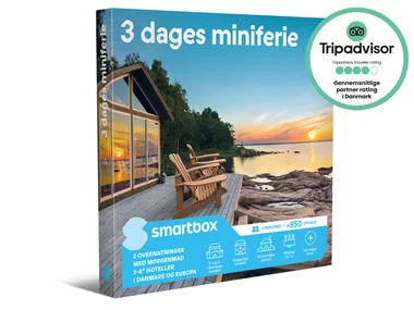 3 dages miniferie