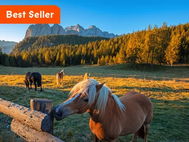 Turismo equestre: 2 notti e passeggiata a cavallo