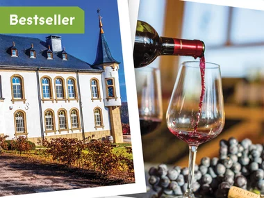 Nuit unique avec dégustation de vins dans un château ou un manoir