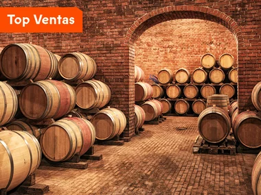 Visita a bodega y cata de vinos para 2