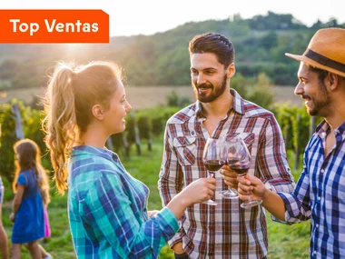 Entre viñedos: 1 noche y cata de vinos