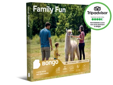 Family fun