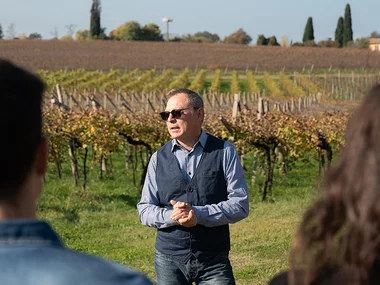 Il Lago di Garda e i suoi vini: 1 degustazione con prodotti tipici