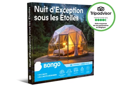 Nuit d'Exception sous les Étoiles