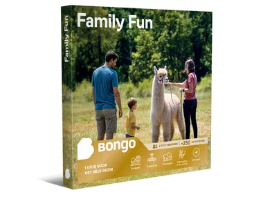 Family Fun