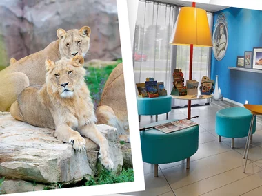 Séjour au ZooParc de Beauval 2026: entrées 2 adulte et 1 nuit à proximité