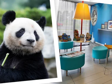 Séjour au ZooParc de Beauval 2026: entrées 2 adulte (2 journées) et 1 nuit à proximité