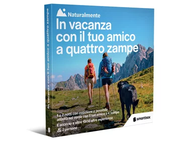 In vacanza con il tuo amico a quattro zampe