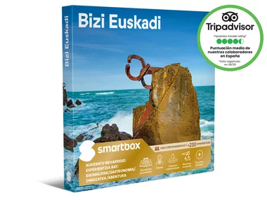 Bizi Euskadi