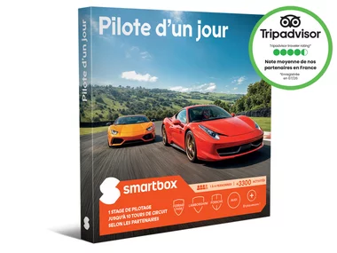 Pilote d'un jour