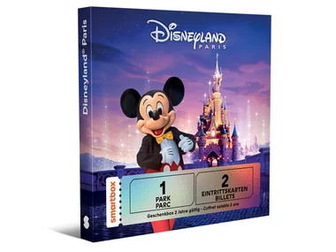 1 Tag Disneyland - 2 Eintrittskarten