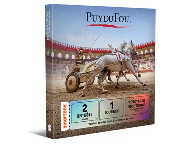 Puy du Fou - 2 tickets 1 jour