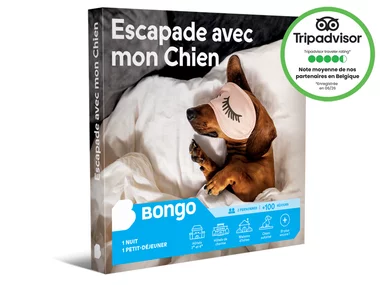 Escapade avec mon Chien