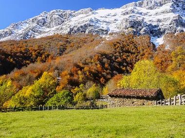 ¡Feliz Navidad, nature lovers!