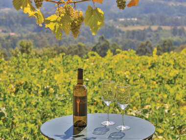 ¡De vinos por la D.O. Rías Baixas! 1 visita a bodega con cata de albariño