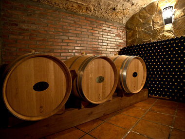 Visita y cata de vinos en bodegas de D.O Priorat