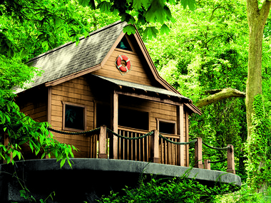 Nuit dans les arbres