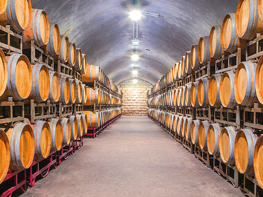 Visita a bodega, cata y obsequio en la Finca Los Aljibes en La Mancha