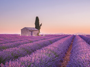 Il profumo della Francia