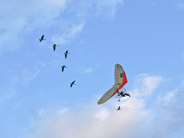 Emozionante volo in deltaplano a motore