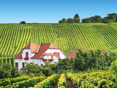 Séjour fermes et auberges