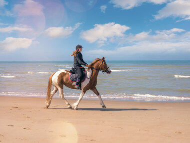 Journée de balade, randonnée à cheval ou cours d'équitation