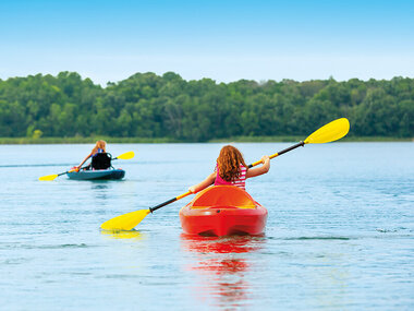 Graine d'aventuriers