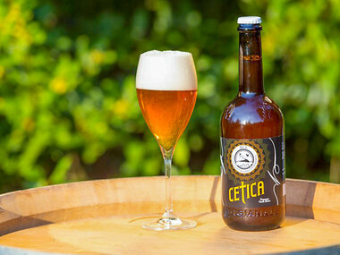 Visita privata al Birrificio Valdarno Superiore: degustazione di birra e tagliere per 2
