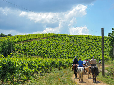 Passeggiata a cavallo nei Monti Lepini con degustazione vini e pranzo per 2
