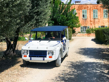 Visite œnologique : 3 communes classées AOC Bandol et 2 domaines avec dégustation