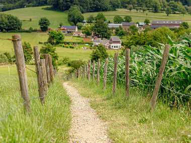 Séjour au coeur du Limbourg