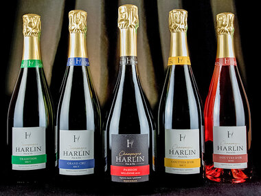 Dégustation de champagne et visite de domaine dans la Marne