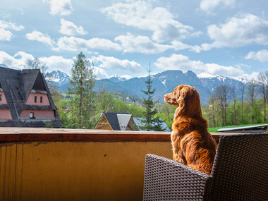 In die Berge mit dem Hund: 2 Übernachtungen für 2 in Crans-Montana