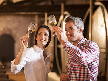 Vin och ostprovning för 2