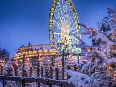 Tagesticket in den Europa-Park für 1 Erwachsenen in der Hochsaison