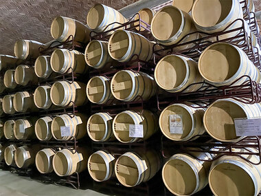 Sabores y aromas en las Bodegas Durón: 1 visita guiada de 1 hora y 15 minutos, cata y menú para 2 personas