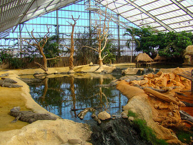 Découverte près de Montélimar : 1 entrée adulte et 1 entrée enfant pour La Ferme aux Crocodiles