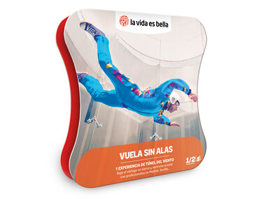 Vuela sin alas