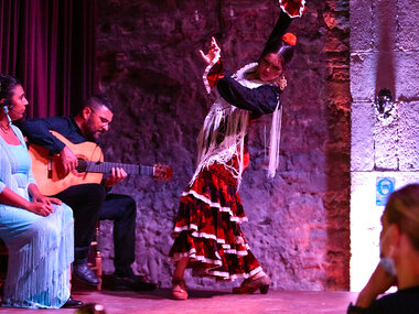 Palau Dalmases: 2 entradas de adulto para espectáculo flamenco