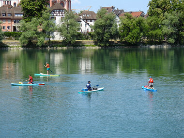 Session de paddle sur le Rhin pour 2 personnes