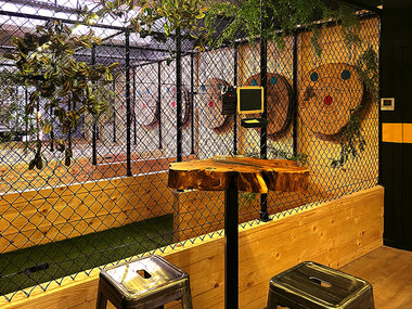 Séance de lancer de haches à Malines