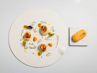 Menù di 6 portate per 1 persona presso l'Enoteca Ristorante Innocenti Wines